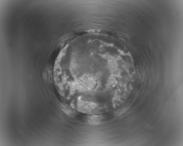 X0000052920527200508050806