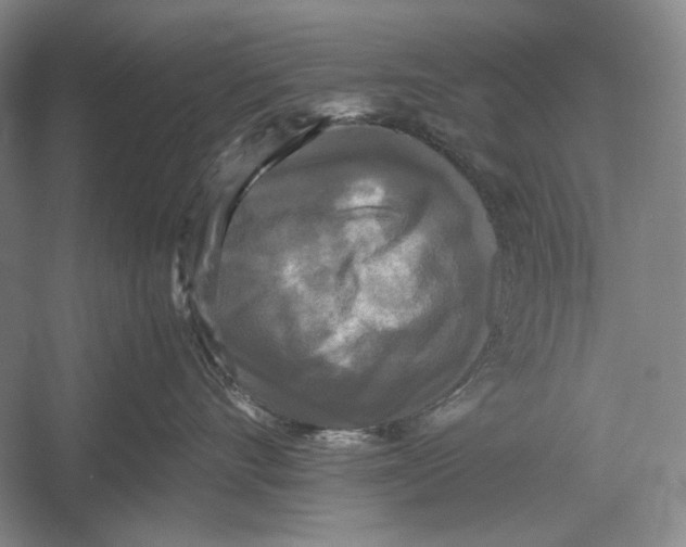 X0000052920528200508050806