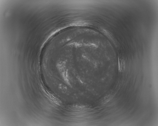X0000052920531200508050806