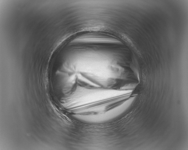 X0000052920532200508050806