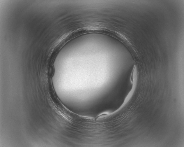X0000052920535200508050806