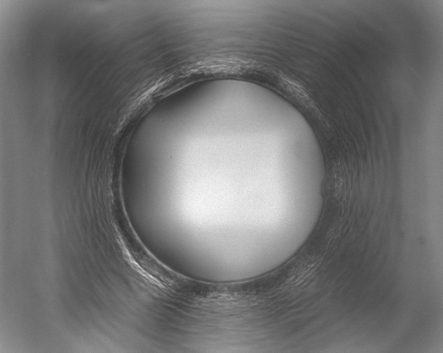 X0000052920538200508050806