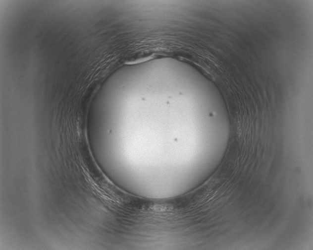 X0000052920546200508050806