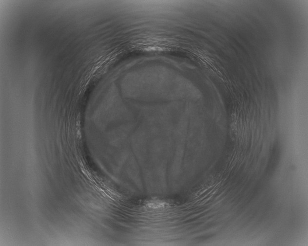 X0000052920547200508050806
