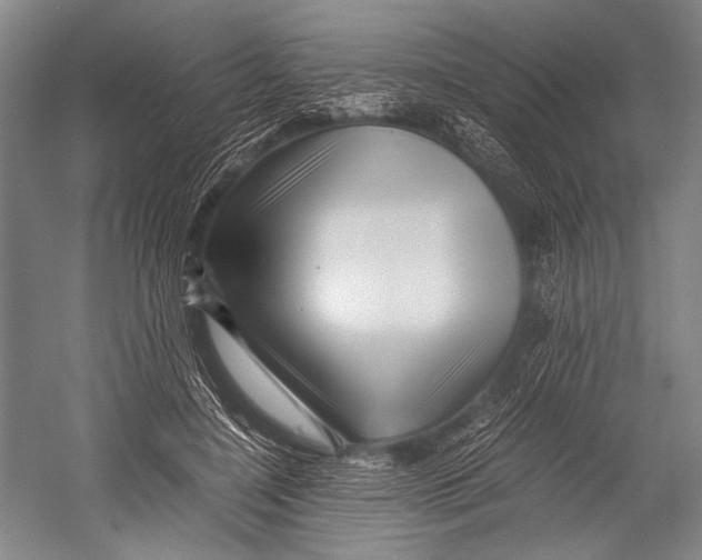 X0000052920548200508050806