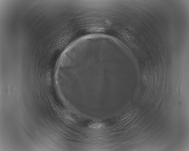 X0000052920551200508050806