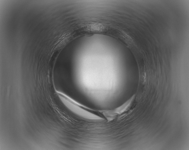 X0000052920552200508050806