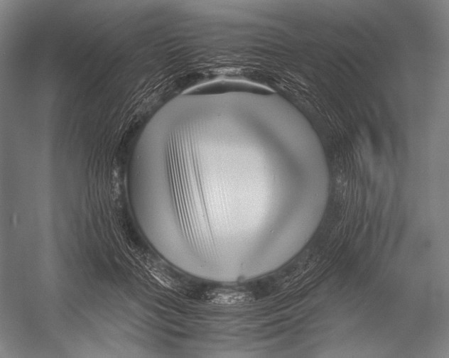 X0000052920555200508050806