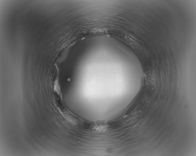 X0000052920560200508050806