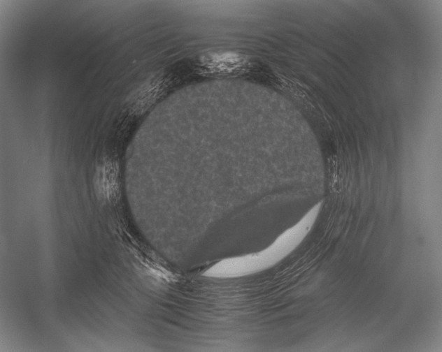 X0000052920563200508050806