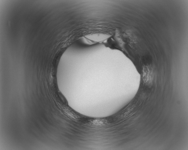 X0000052920566200508050806