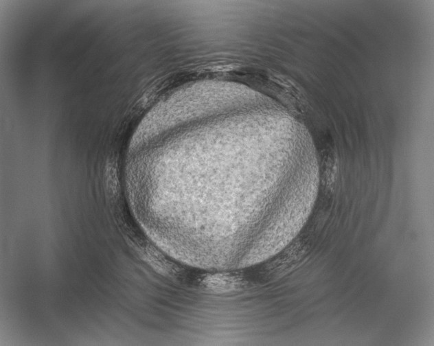 X0000052920568200508050806