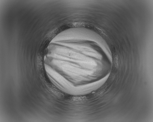 X0000052920571200508050806