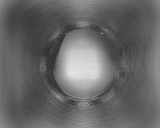 X0000052920572200508050806