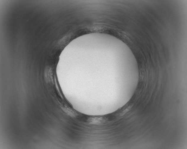 X0000052920575200508050806