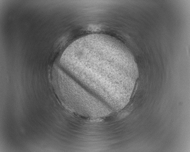 X0000052920576200508050806
