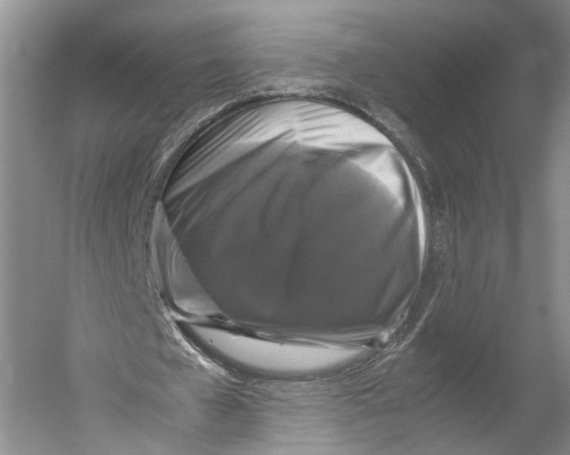 X0000052920577200508050806