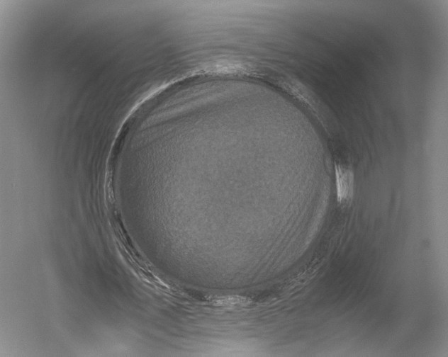 X0000052920579200508050806