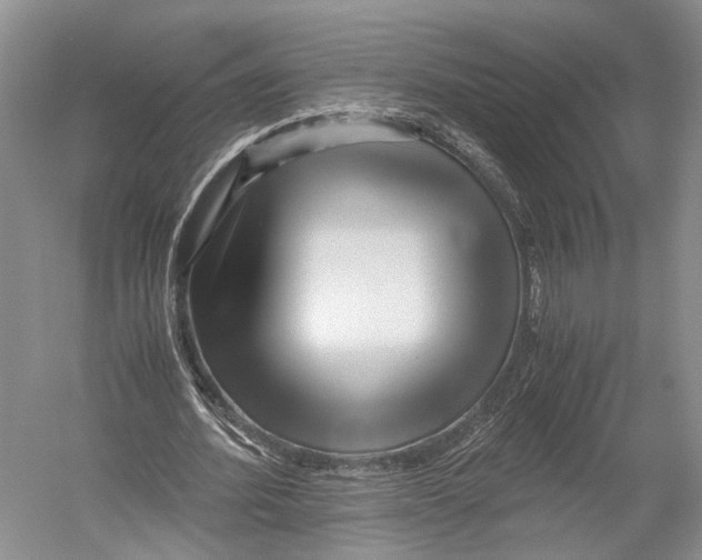 X0000052920580200508050806