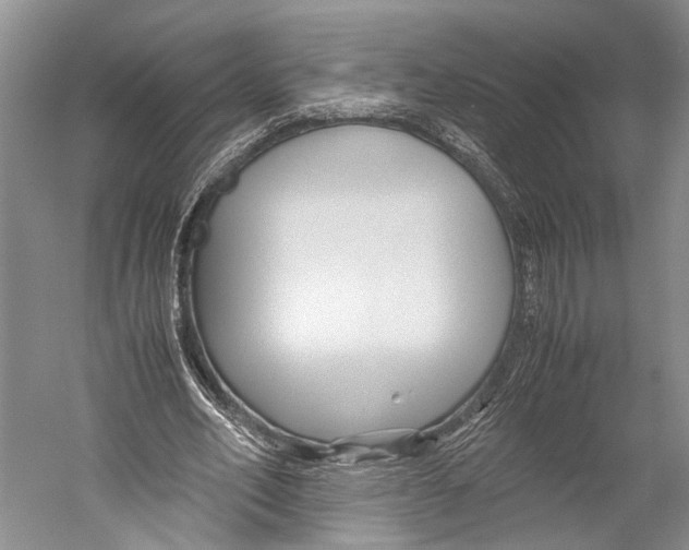 X0000052920582200508050805