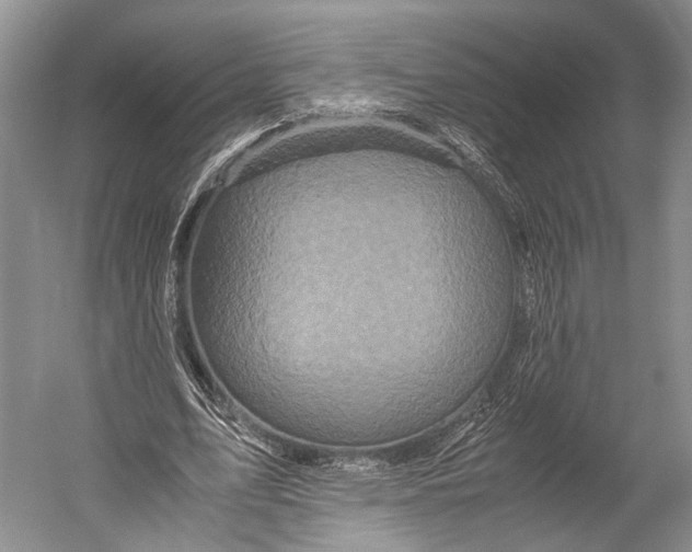 X0000052920583200508050805