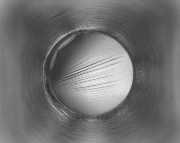 X0000052920584200508050805