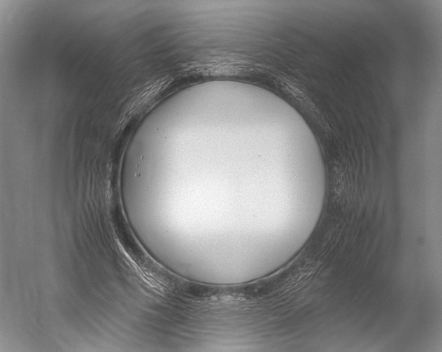 X0000052920586200508050805