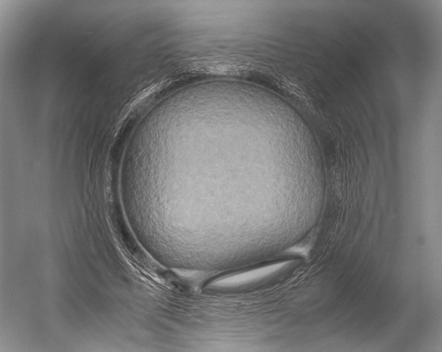 X0000052920587200508050805