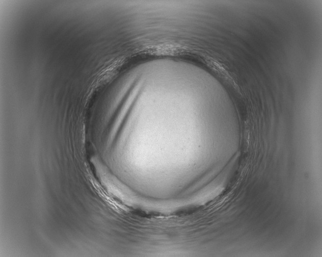 X0000052920589200508050805