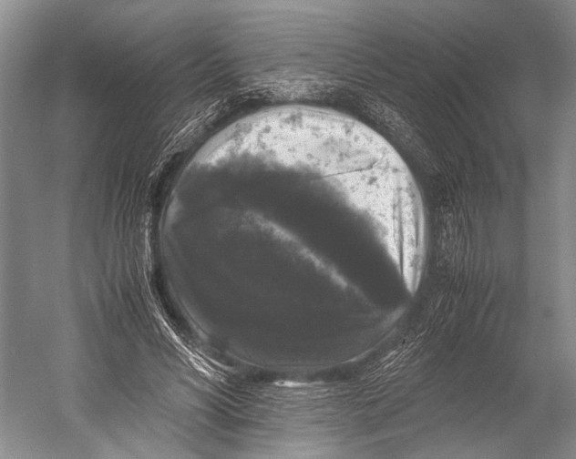 X0000052920590200508050805