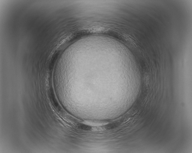 X0000052920591200508050805