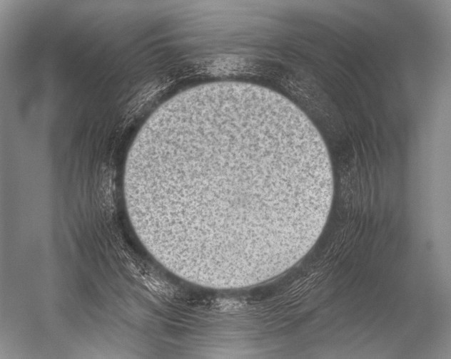 X0000052920592200508050805