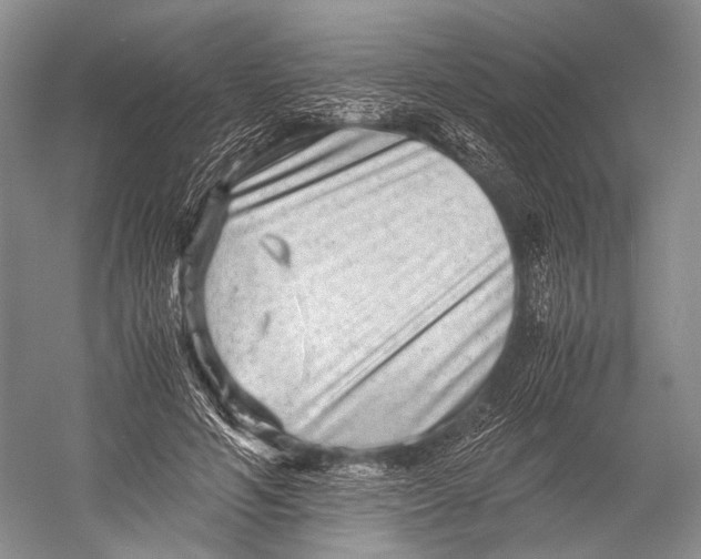 X0000052920594200508050805
