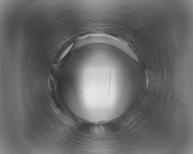 X0000052920600200508050805
