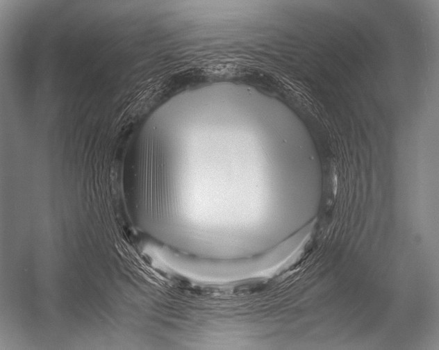 X0000052920601200508050805