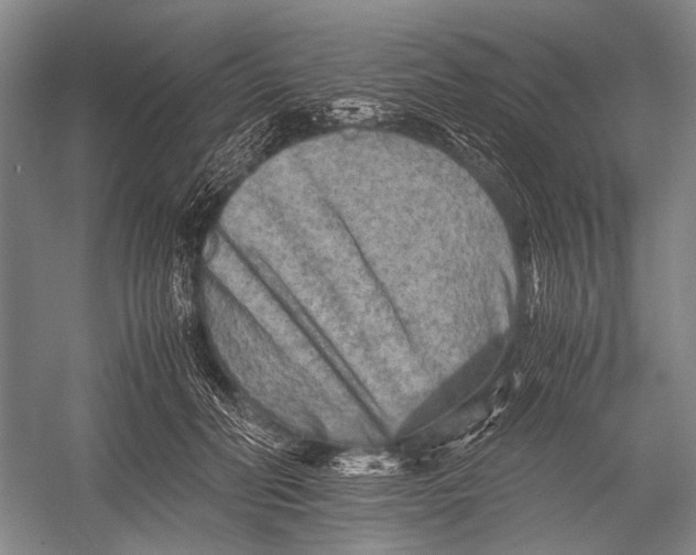 X0000052920606200508050805