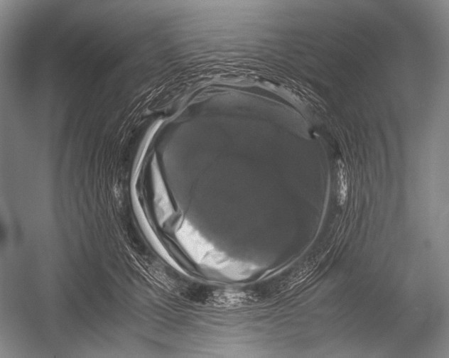 X0000052920607200508050805