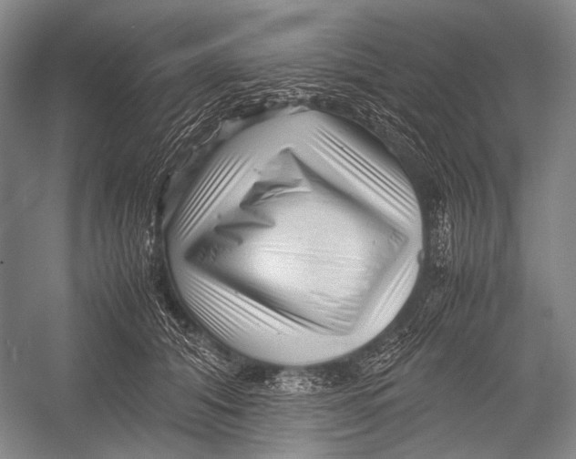 X0000052920608200508050805
