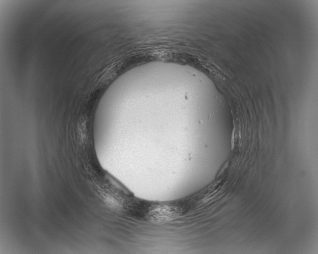 X0000052920611200508050805