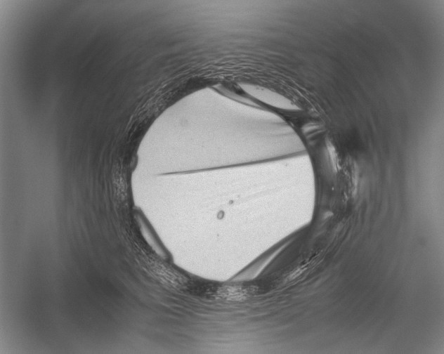 X0000052920613200508050805