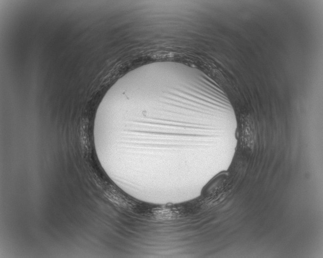 X0000052920616200508050805