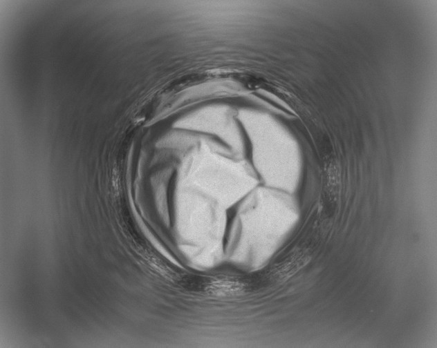 X0000052920617200508050805