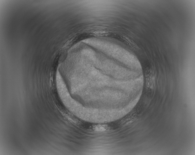 X0000052920618200508050805