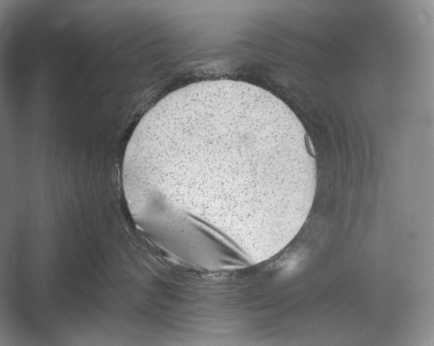 X0000052920624200508050805