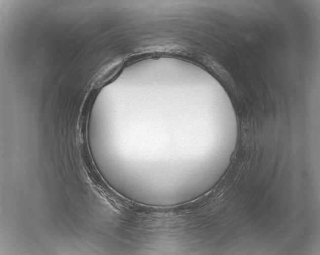 X0000052920628200508050804