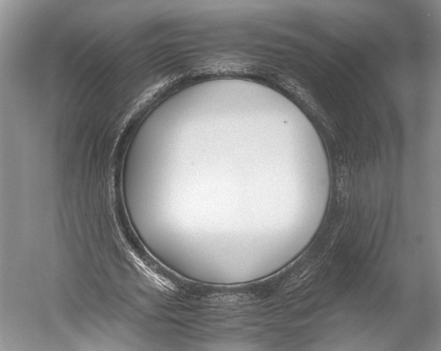 X0000052920629200508050804