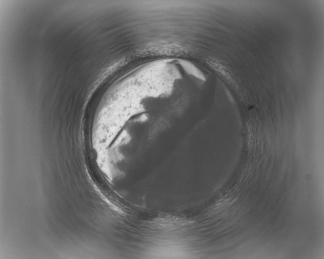 X0000052920630200508050804