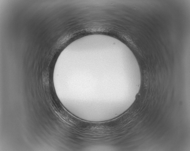 X0000052920631200508050804