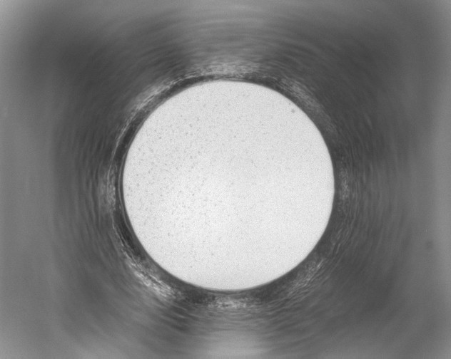 X0000052920632200508050804