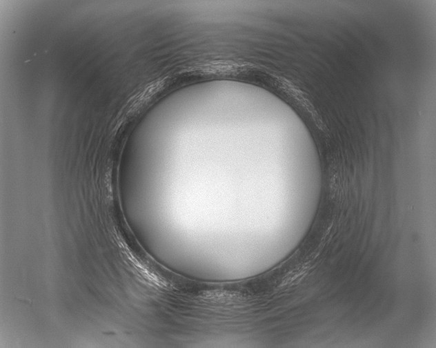 X0000052920633200508050804